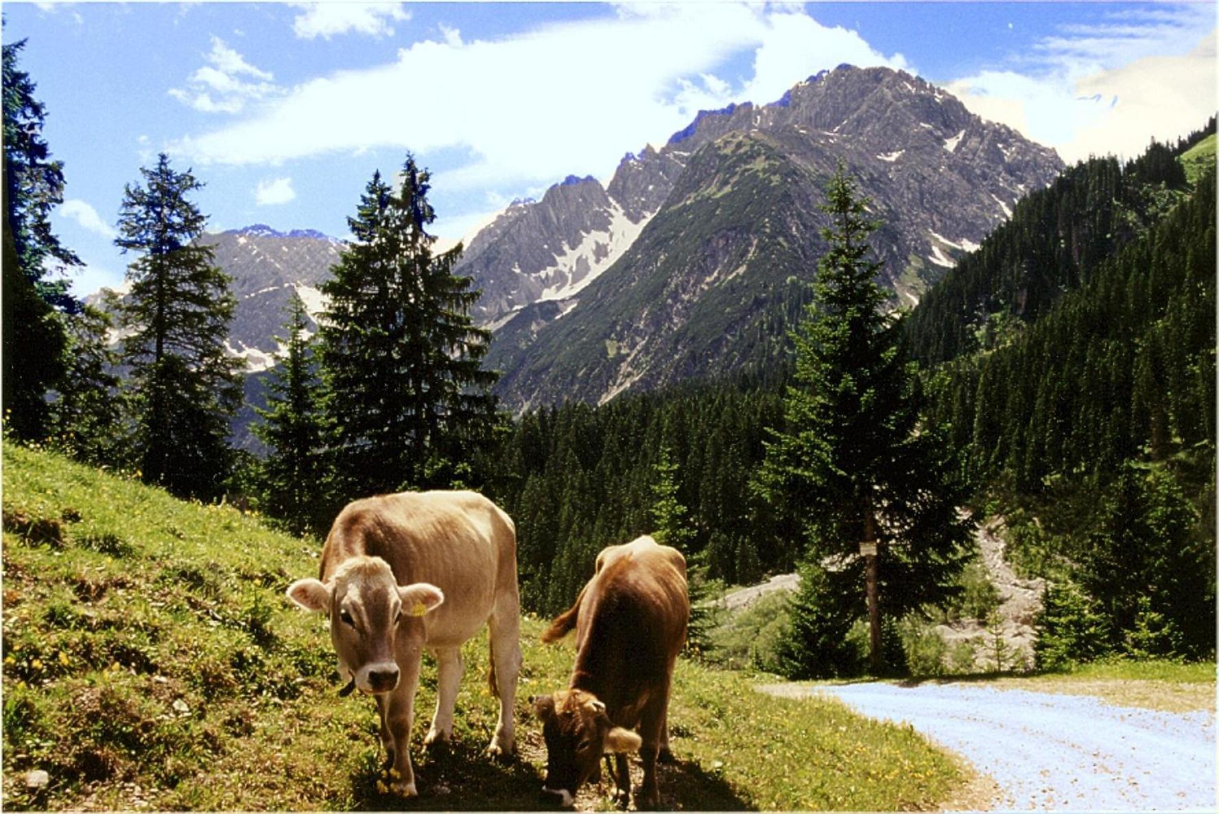 Отель Gasthof Bergheimat Боден Экстерьер фото